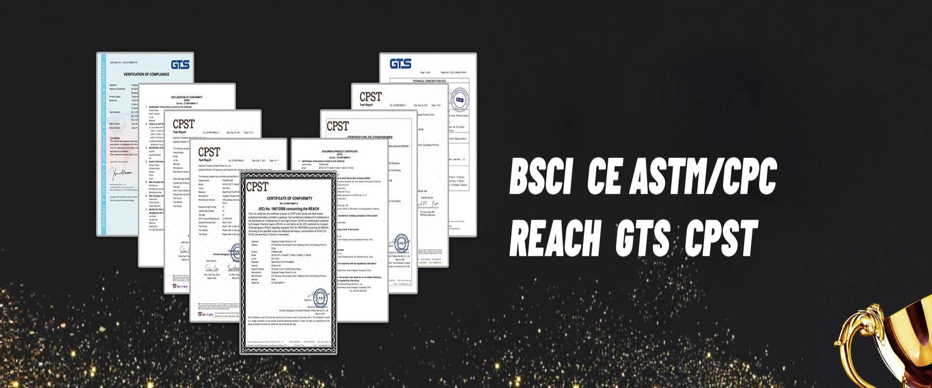 certificate Yongkang Tengtai Fitness Co.,Ltd